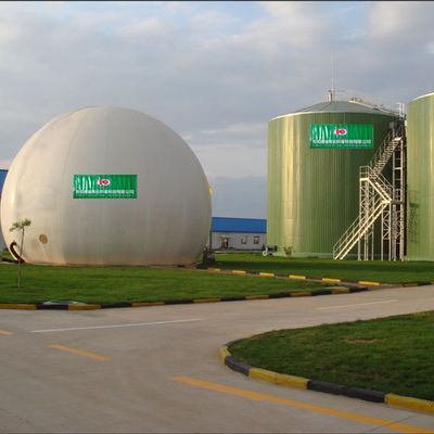 Продукция лэндфилл-газа электростанции газа Biodigester био от навоза коровы