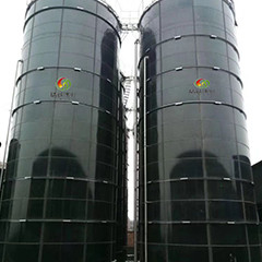 Пищеварение одеяла шуги Upflow реактора лэндфилл-газа EGSB анаэробное для позема цыпленка